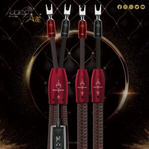 Brave Heart - Audioquest - Cabo Coluna High-End - Full Range