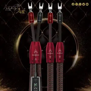 Brave Heart - Audioquest - Cabo Coluna High-End - Full Range