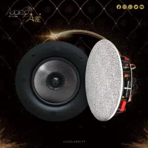 Close-up of a large black speaker woofer and a white perforated tweeter against a dark, gold-accented backdrop with Audio-Arte branding.
